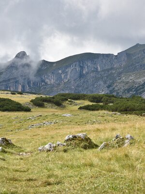 Roßwies - Blick auf den Sagzahn und die Rofanspitze