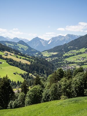 rossmoos runde_img_52093383 | © Birgit Angermair