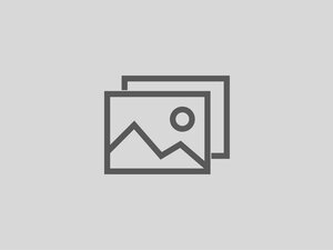 Ich bin ein Alt-Text | © Copyright elements