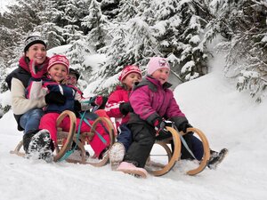 Rodeln Iinneralpbach Faulbaumgartenalm | © Alpbachtal Tourismus